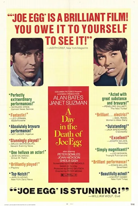 A Day in the Death of Joe Egg