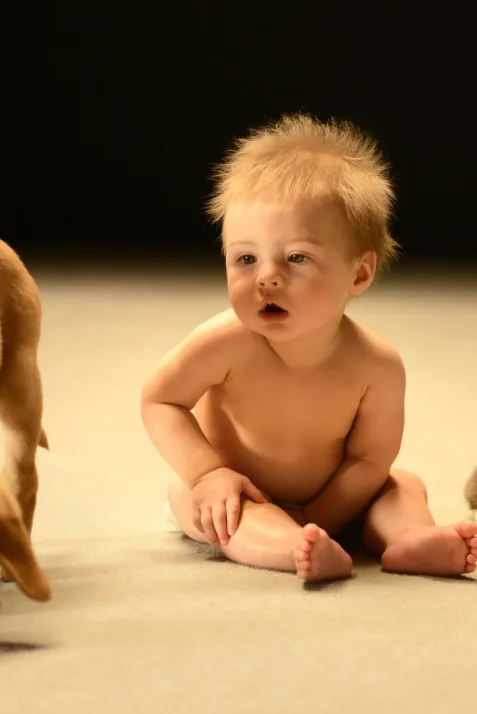 Secret Life of Babies