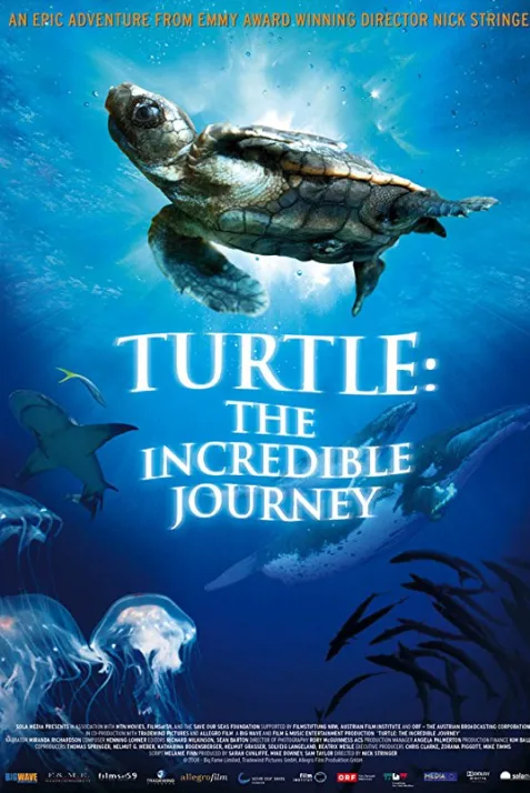 Turtle: The Incredible Journey