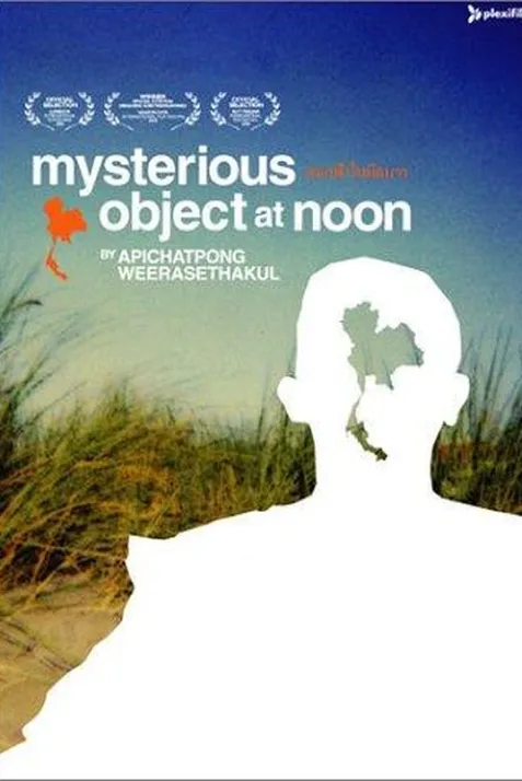 Mysterious Object at Noon