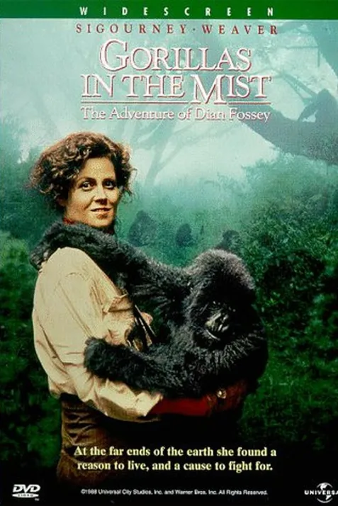 Gorillas in the Mist