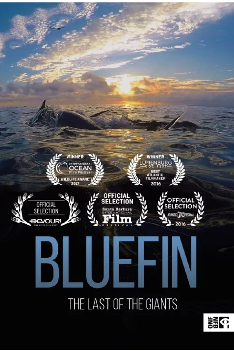 Bluefin