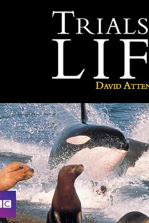 The Trials of Life