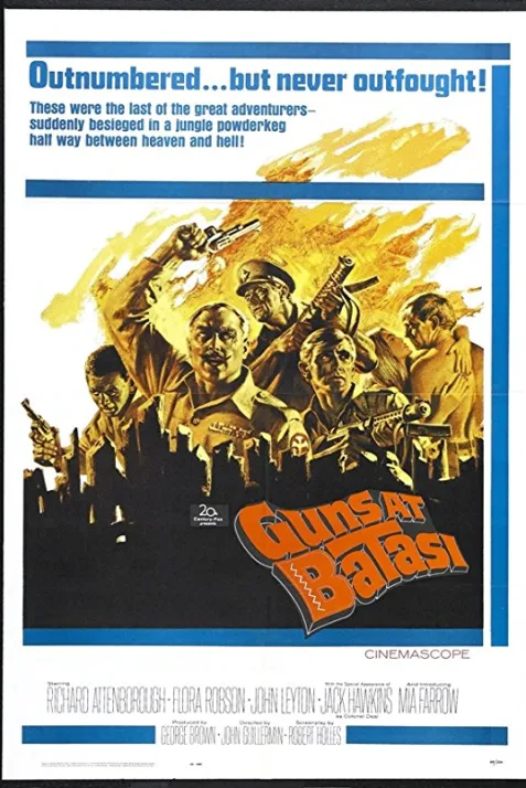 Guns at Batasi