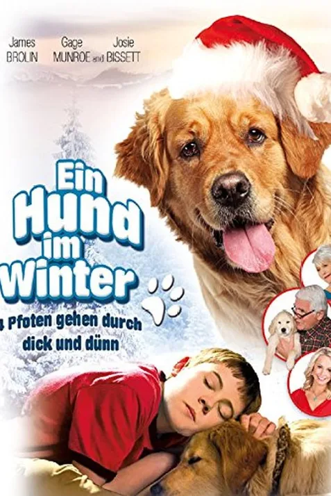 Christmas with Tucker