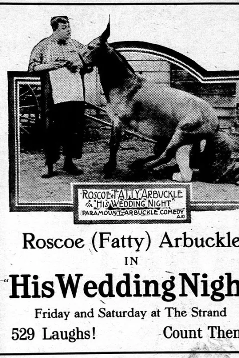 His Wedding Night