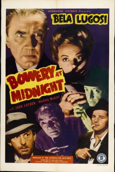 Bowery at Midnight
