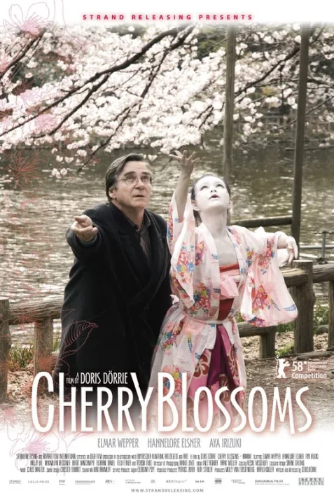 Kirschblüten - Hanami