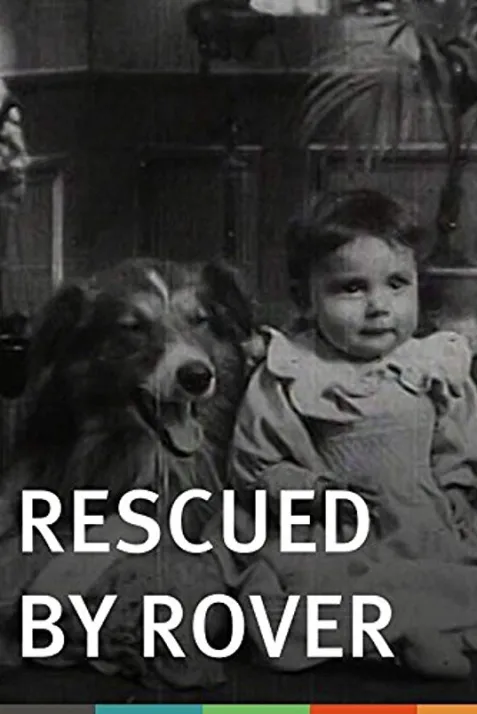 Rescued by Rover