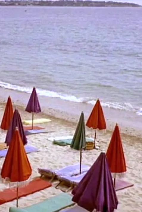 Along the Coast