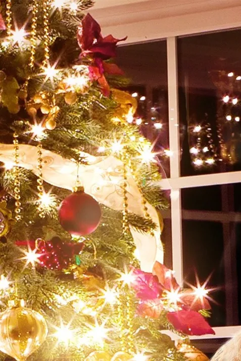 A Dream of Christmas