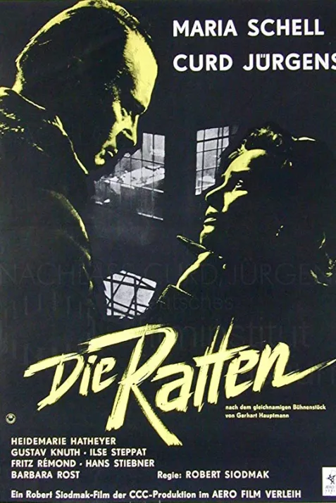 Die Ratten