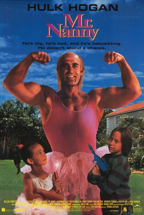 Mr. Nanny