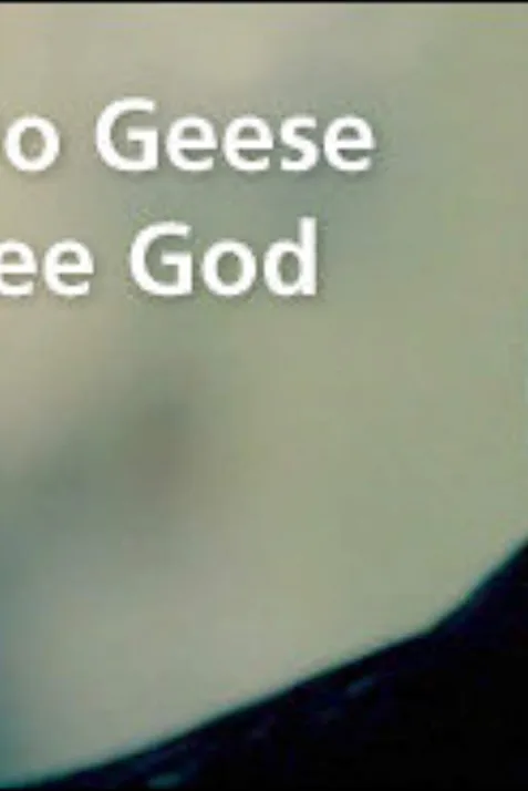 Do Geese See God?