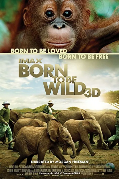 Born to Be Wild