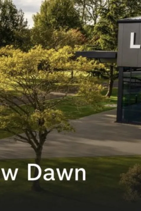 Lotus: A New Dawn