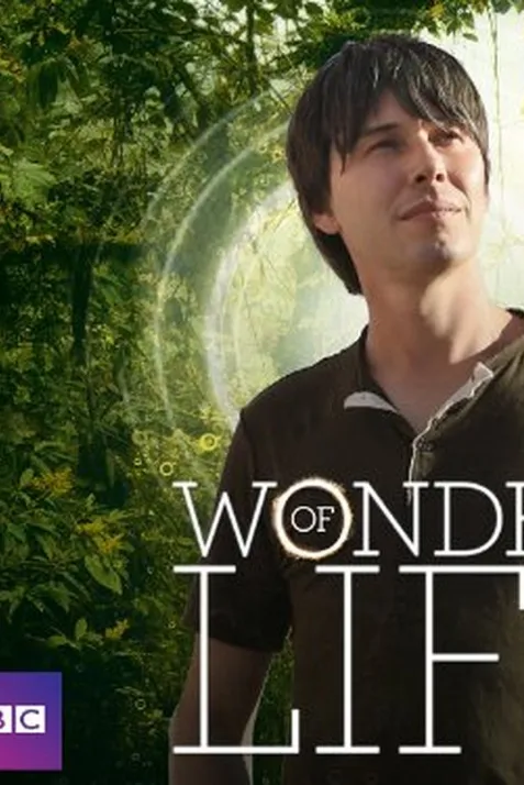 Wonders of Life
