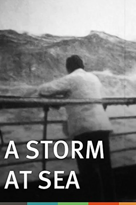 A Storm at Sea