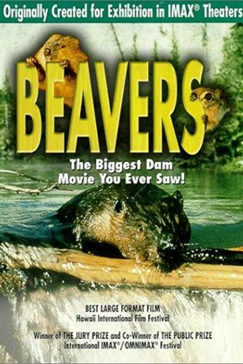 Beavers