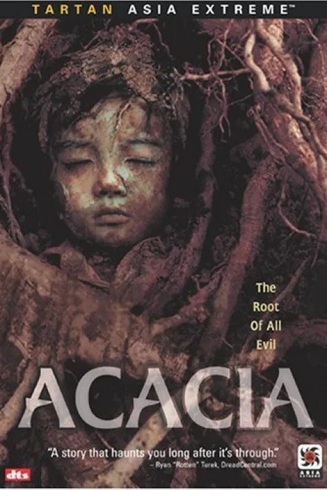 Akasia