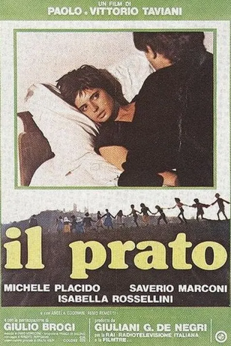 Il prato
