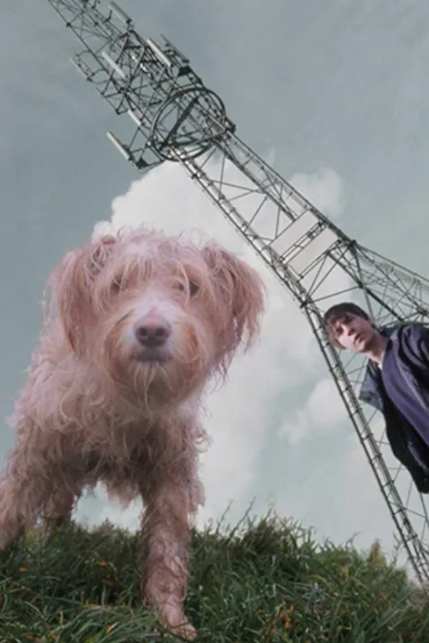 Dog