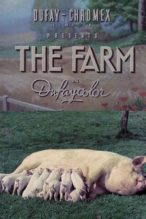The Farm