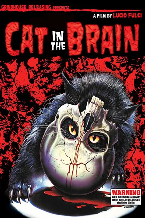 A Cat in the Brain