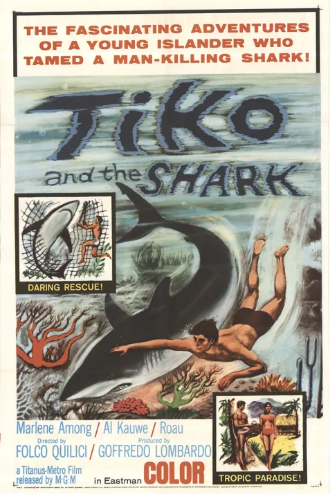 Ti-Koyo e il suo pescecane