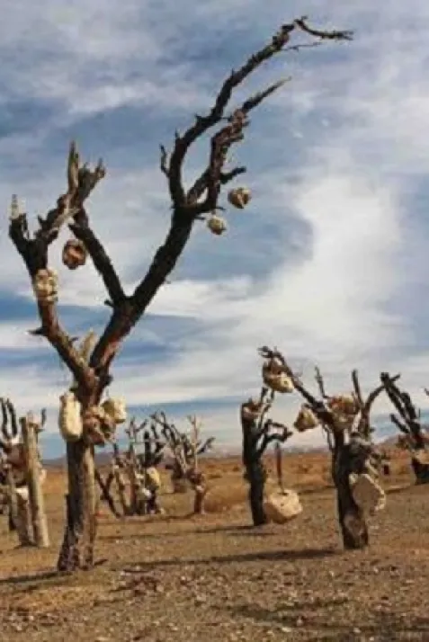 The Oldman and His Garden of Stones