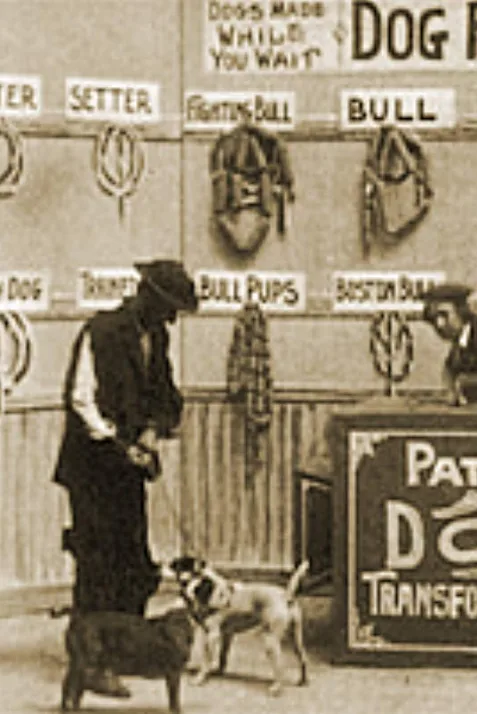 Dog Factory