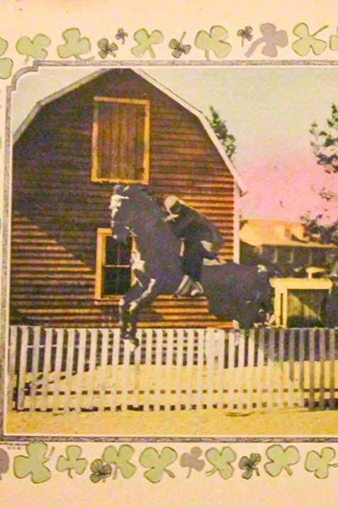 The Shamrock Handicap