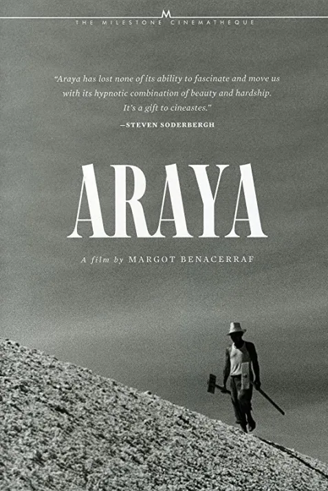 Araya