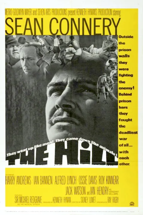 The Hill