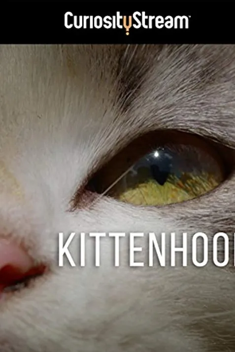Kittenhood