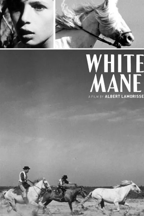 White Mane
