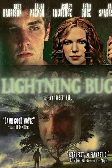 Lightning Bug