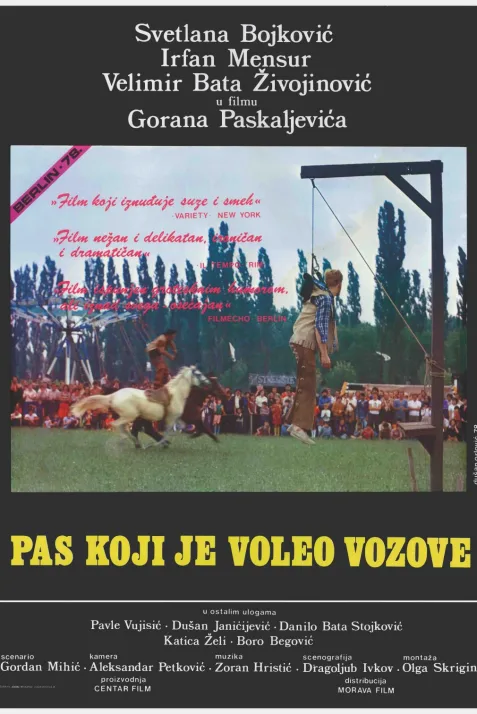 Pas koji je voleo vozove