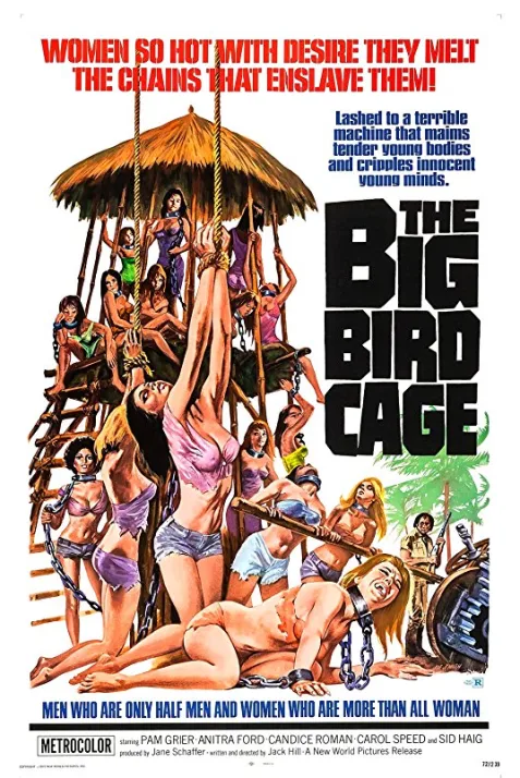 The Big Bird Cage
