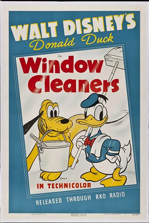 Window Cleaners