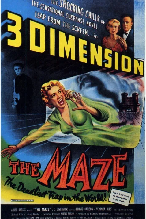 The Maze