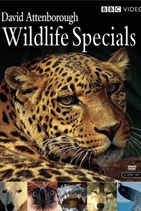 Wildlife Specials