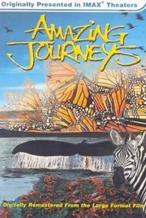 Amazing Journeys