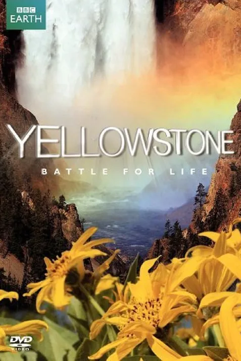 Yellowstone