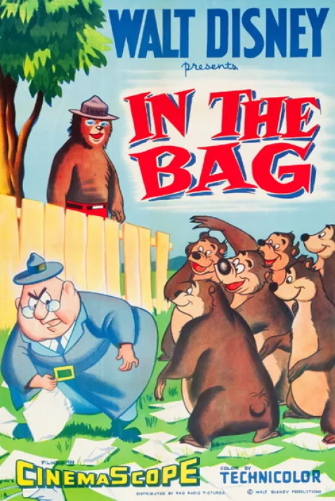 In the Bag