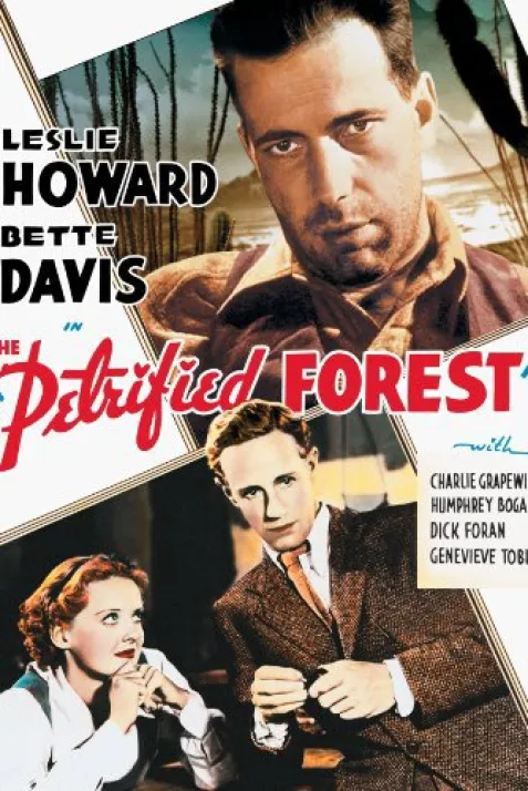The Petrified Forest