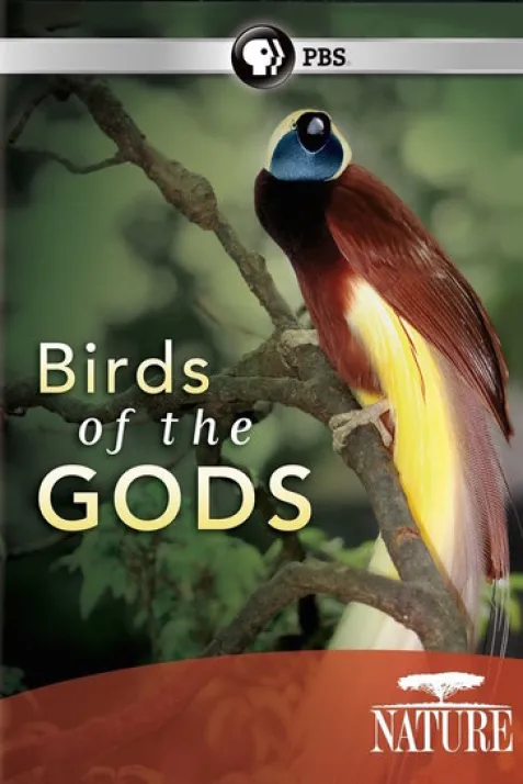 "Nature" Birds of the Gods