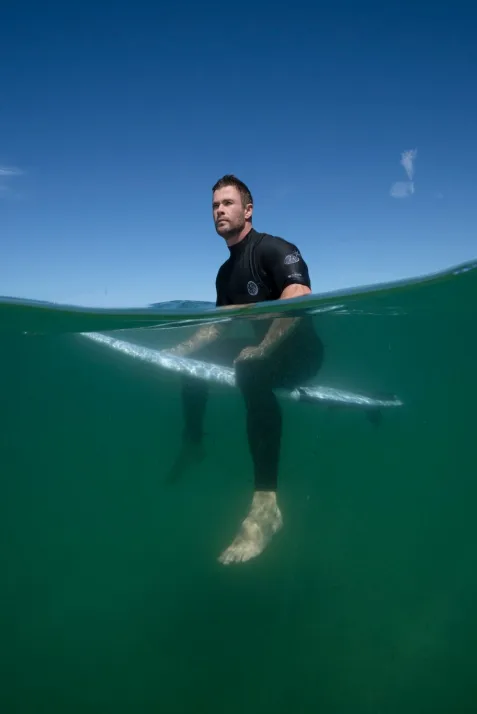 Rogue Shark?