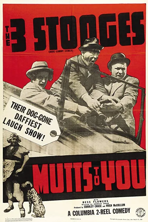 Mutts to You