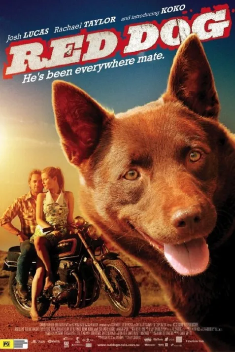 Red Dog